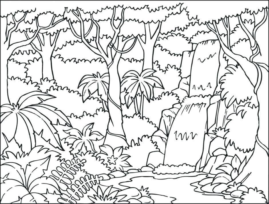 940x715 Best Of Ecosystem Coloring Pages Images