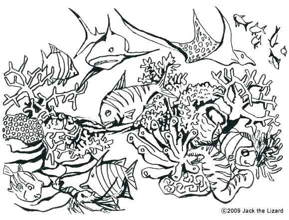580x442 Coloring Ecosystem Coloring Pages