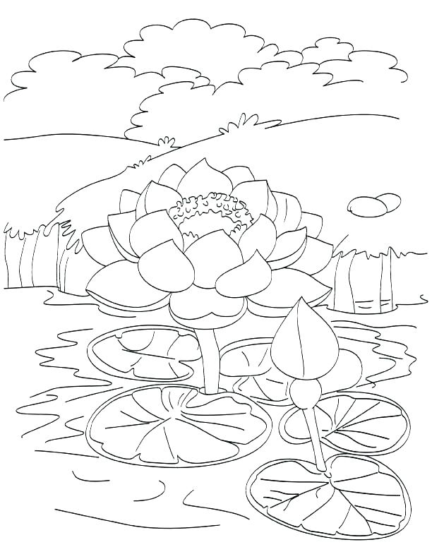 612x792 Ecosystem Coloring Pages
