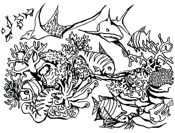 600x457 Coral Reef Coloring Page Coral Reef Coloring Pictures Ecosystem