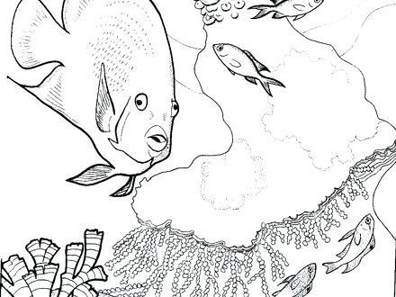 440x330 Coral Reef Coloring Pages Coral Reef Coloring Pages Coral Reef