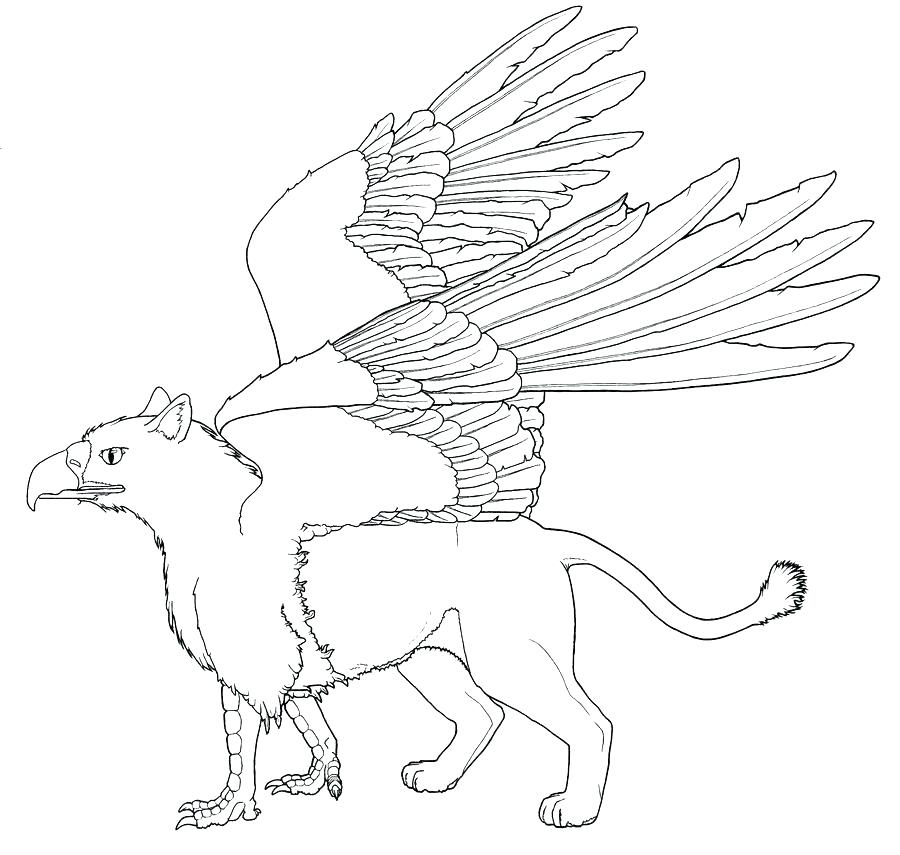 900x855 Edgar Allan Poe Coloring Pages Home Improvement Verify Home