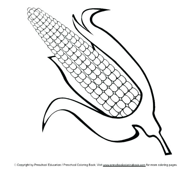 660x577 Eel Coloring Pages Eel Coloring Pages Eel Funny Picture