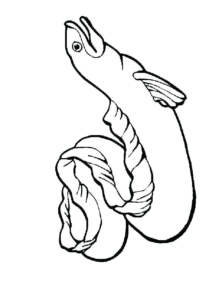750x1000 Eels Coloring Pages Little Mermaid Coloring Pages Eels Parramatta