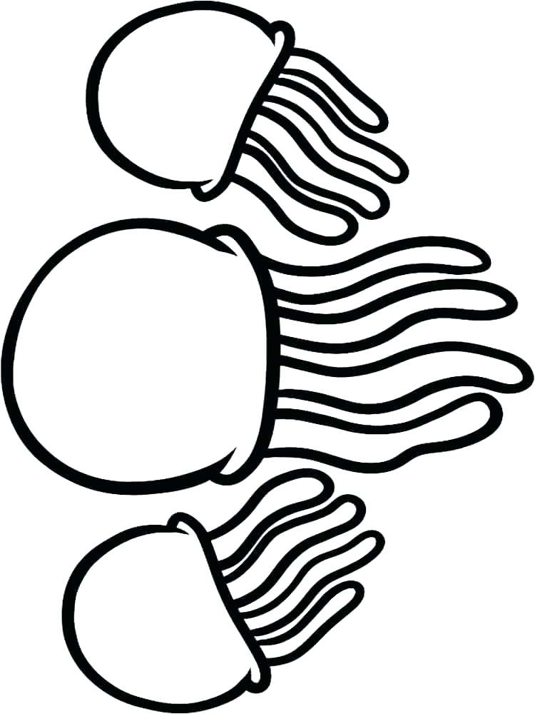 750x1000 Eel Coloring Pages