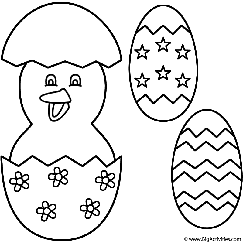 800x800 Baby Chick Hatching And Easter Eggs