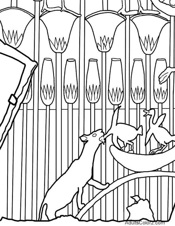 612x792 Cat Coloring Pages Pint Sized Pumas On Parade