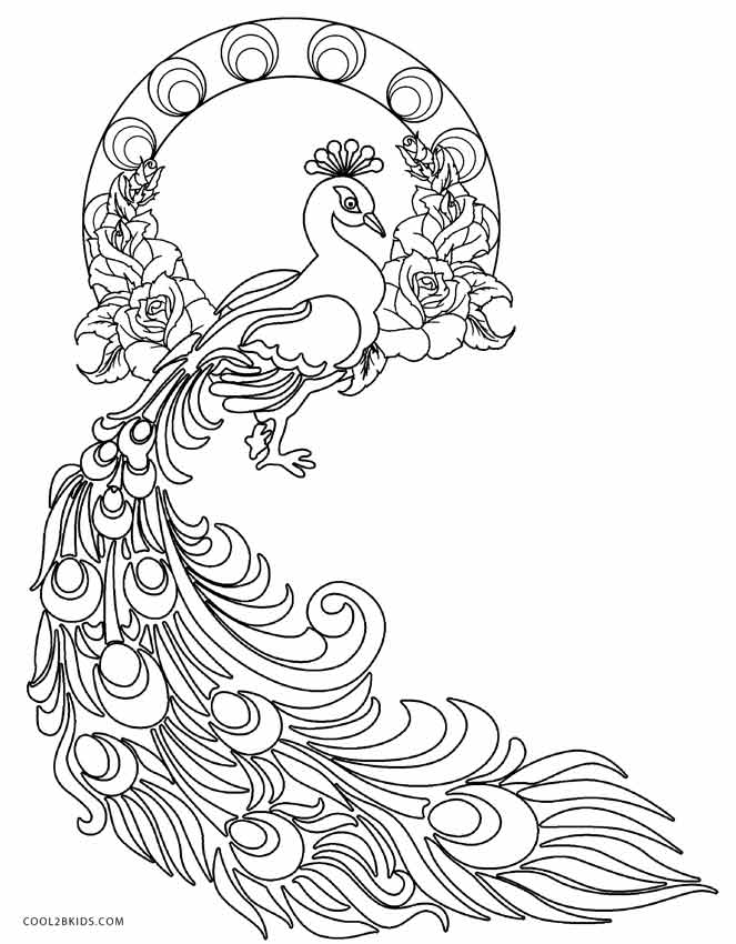 663x850 Printable Peacock Coloring Pages For Kids Cool2bkids