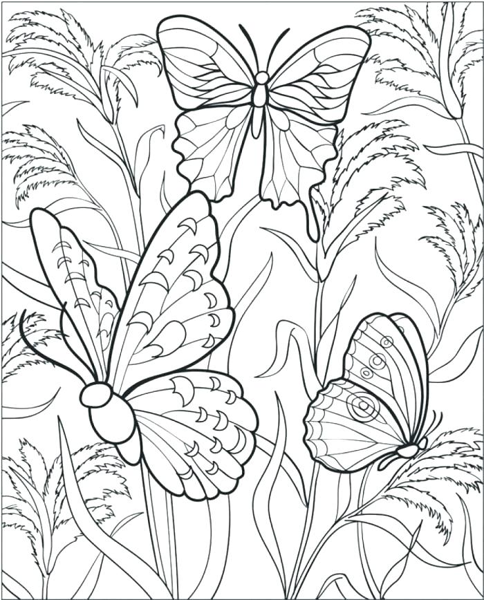 700x868 Butterfly Coloring Pages Elaborate Adult Butterfly Coloring Pages