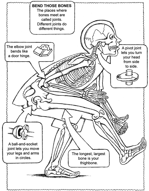 600x770 Anatomy Coloring Book Pages Simple Anatomy Coloring Book For Kids