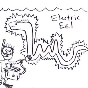 300x300 Electric Eel Image Coloring Page Color Luna