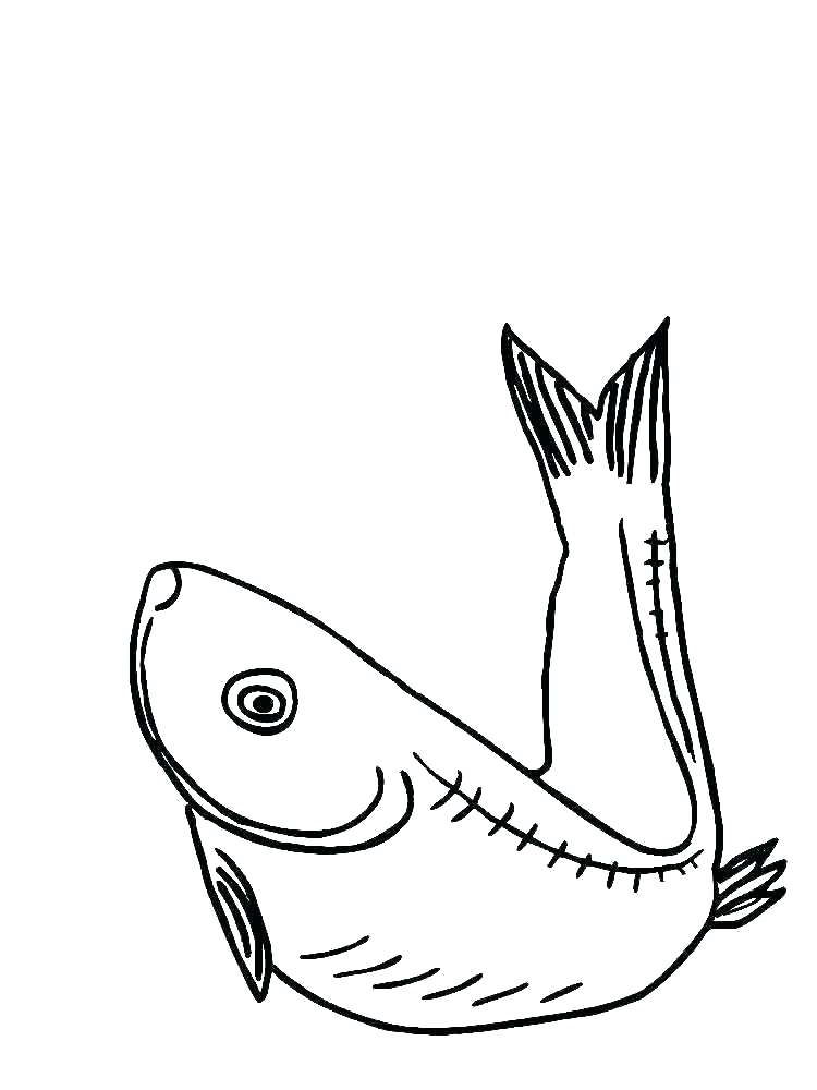 750x1000 Eel Coloring Page Impair.co