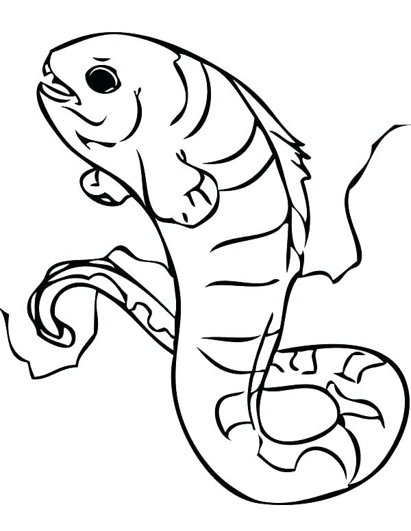 600x776 Eel Coloring Pages Eel Coloring Page For Kids Electric Eel
