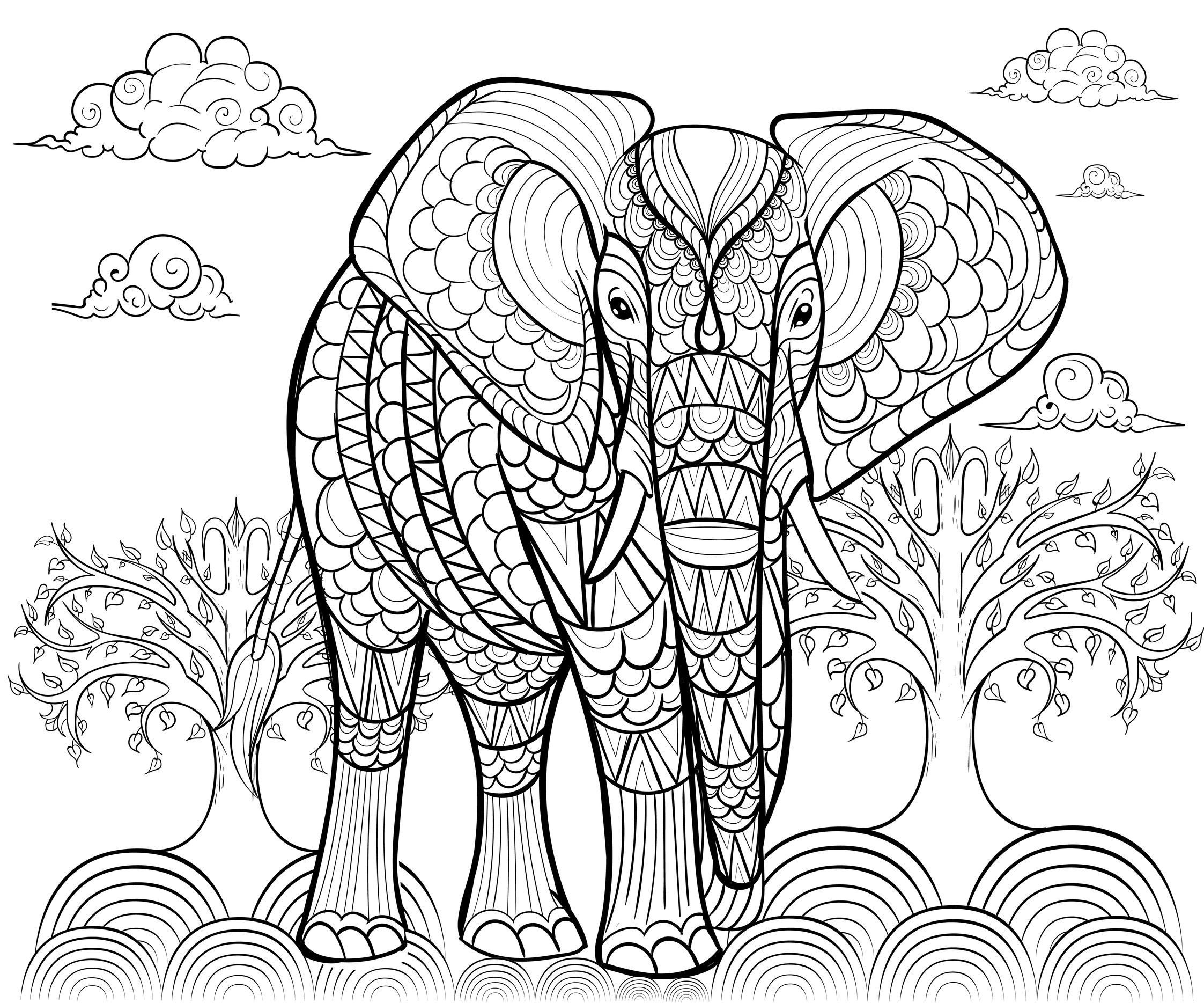 2245x1869 Elephant By Alfadanz