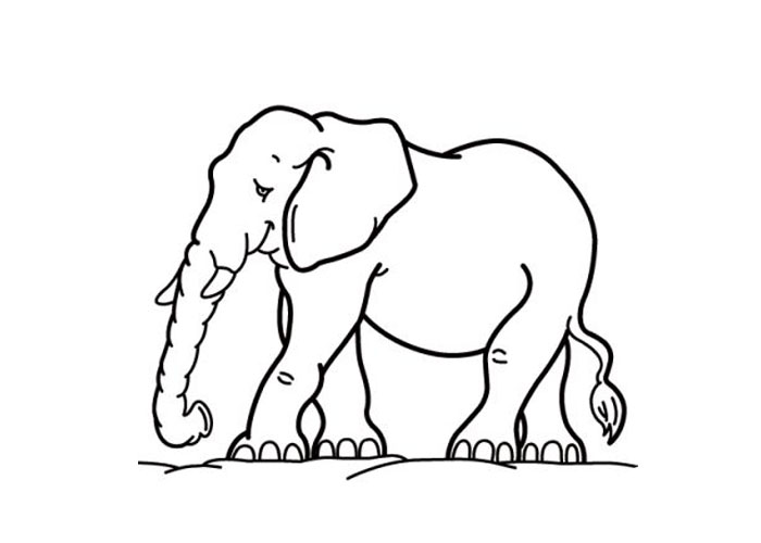 700x500 Cartoon Elephant Coloring Pages