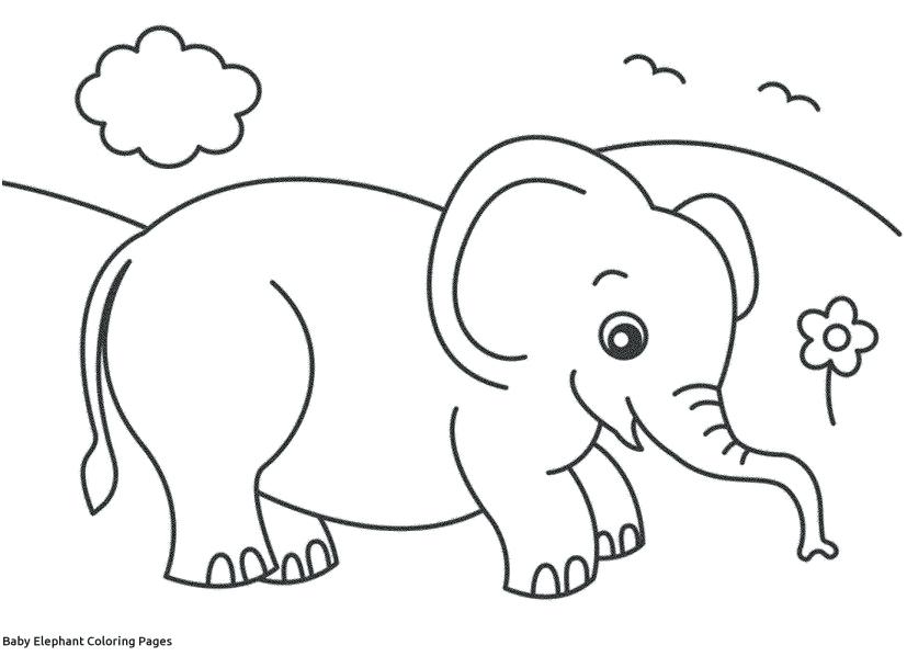 827x609 Baby Elephant Coloring Pages Baby Elephant Coloring Pages Design