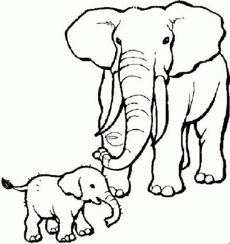470x500 Coloring Page Elephant Coloring Pages 14