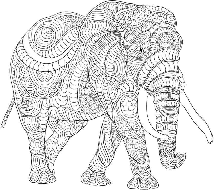 835x739 Best Ways To Combat Stress Stress Relief, Coloring Books And 50th