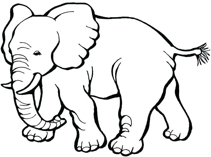 700x520 Elephant Coloring Pages Adults Elephants Coloring Pages Hard