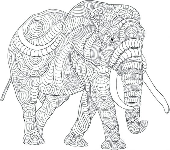 565x500 Coloring Pages ~ Elephant Coloring Page Difficult Pages For Grown