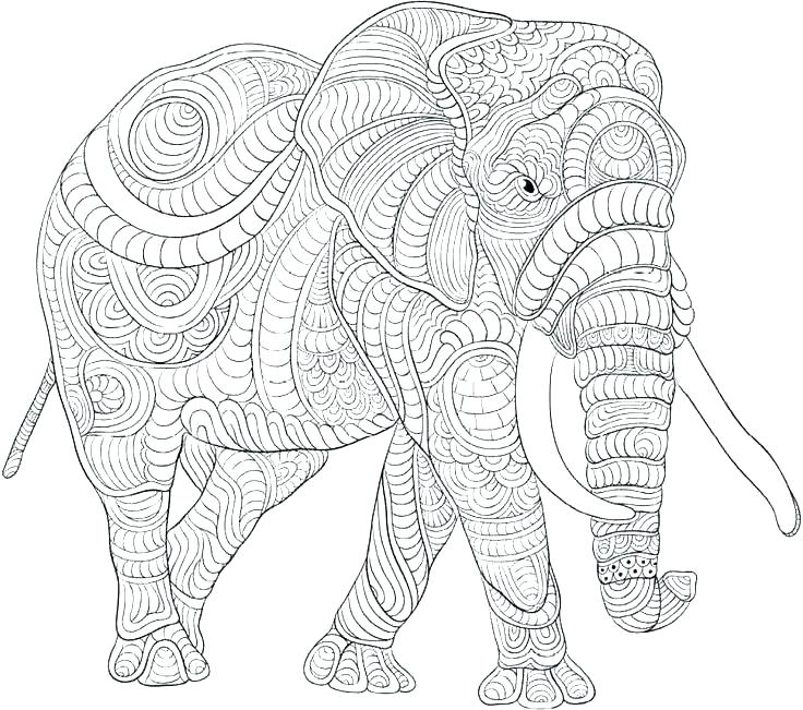 736x651 Elephant Adult Coloring Page Elephant Coloring Sheet 8 Elephant