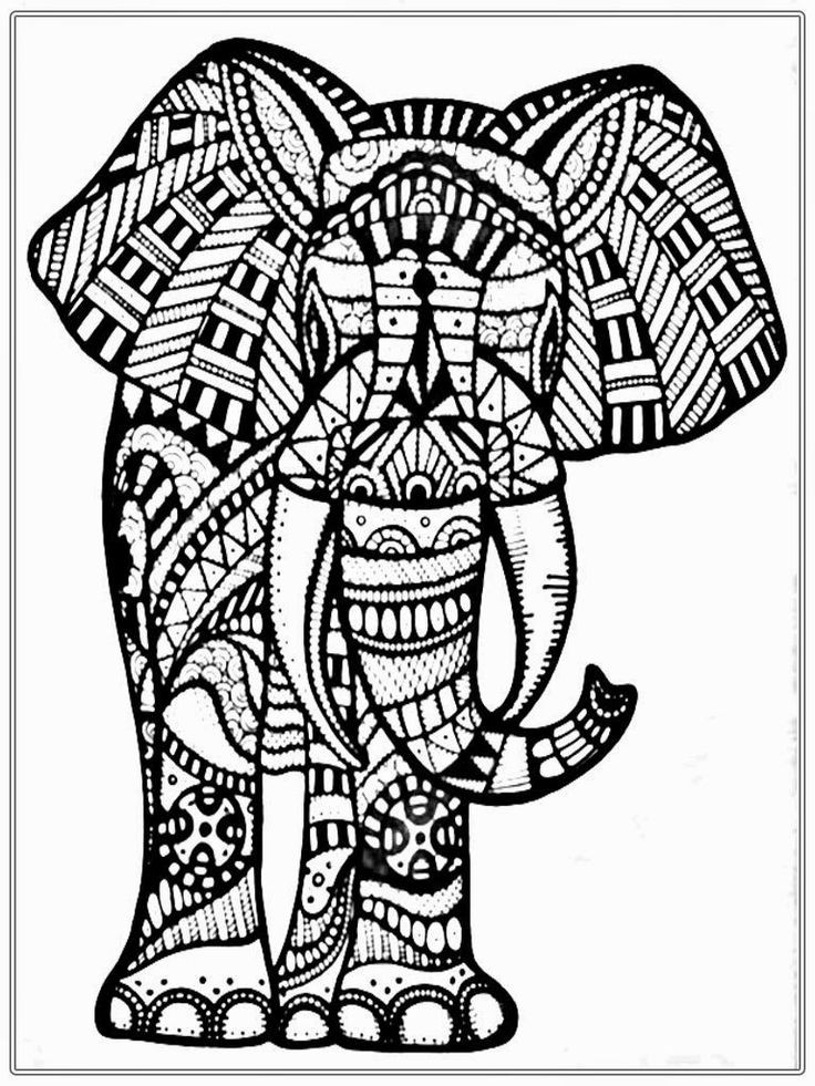736x981 Free Printable Elephant Coloring Pages For Adults Best Face