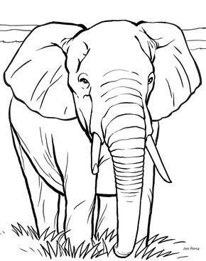 290x368 Color Book Printing Animal Coloring Pages Kids Coloring Pages
