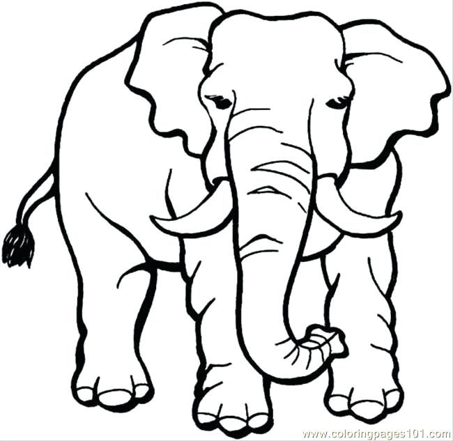 650x633 Elephant Color Pages Letter E Coloring Pages Preschool E Is