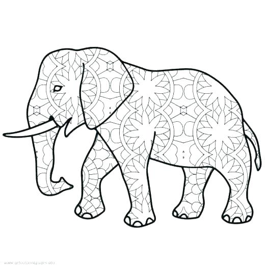 520x520 Best Y Blank Pattern Elephants Images On Coloring Printable