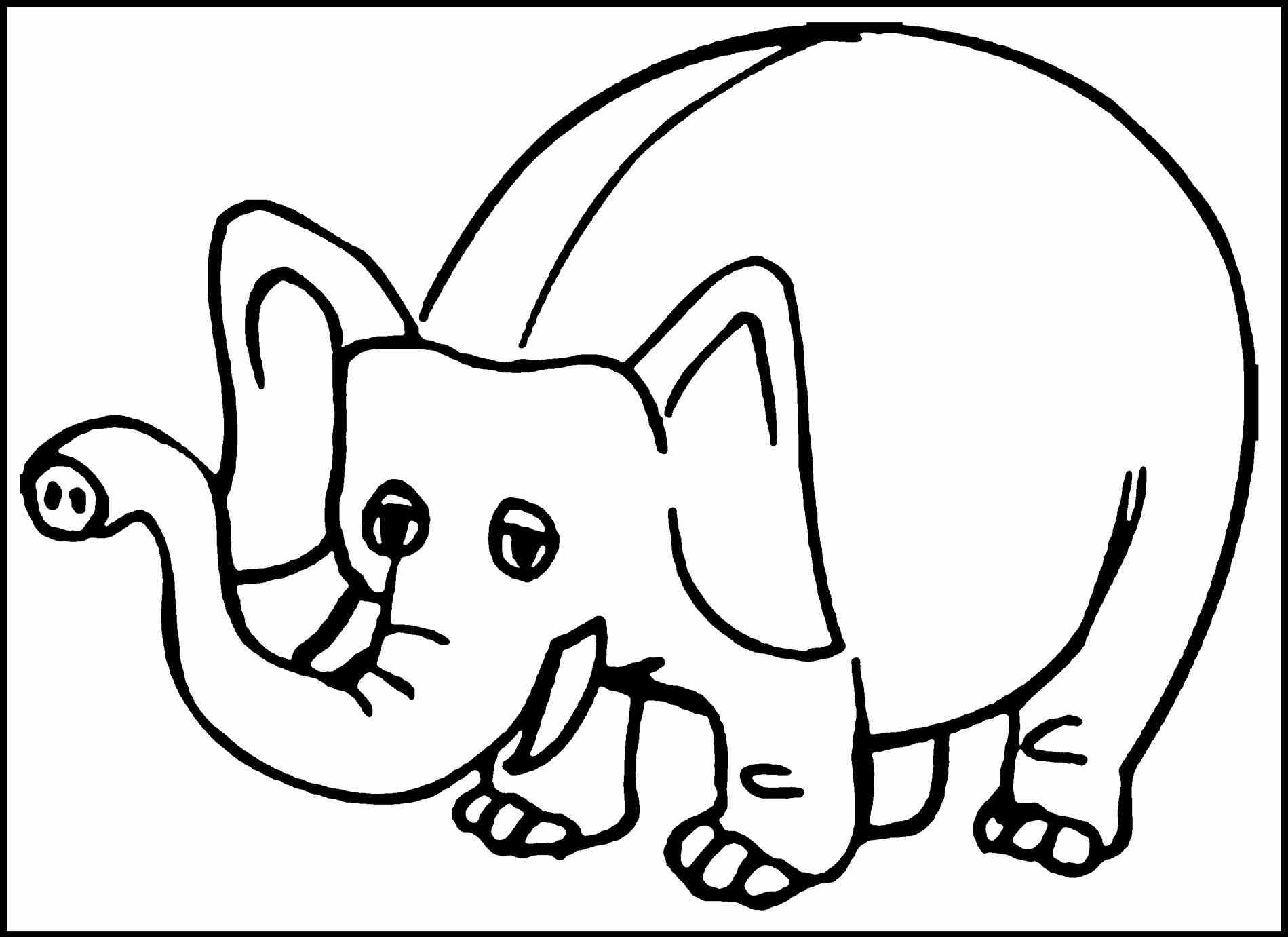 1899x1381 Babyelephant9 Baby Elephant Coloring Pages Printable Shower Mother