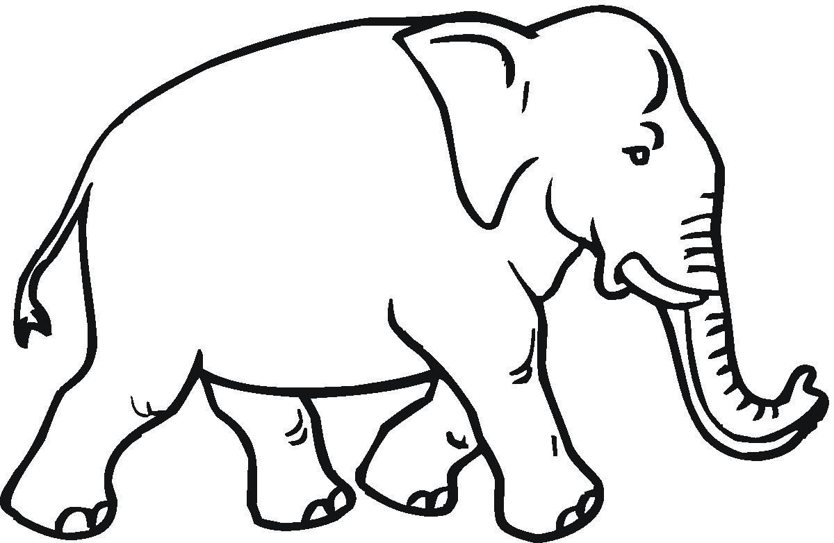 1200x782 Coloring Pages Elephant Coloring Sheet