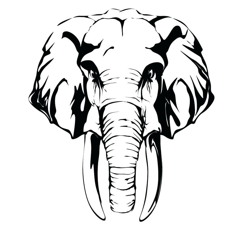 800x800 Elephant Head Coloring Page Elephant Head Coloring Page Fresh