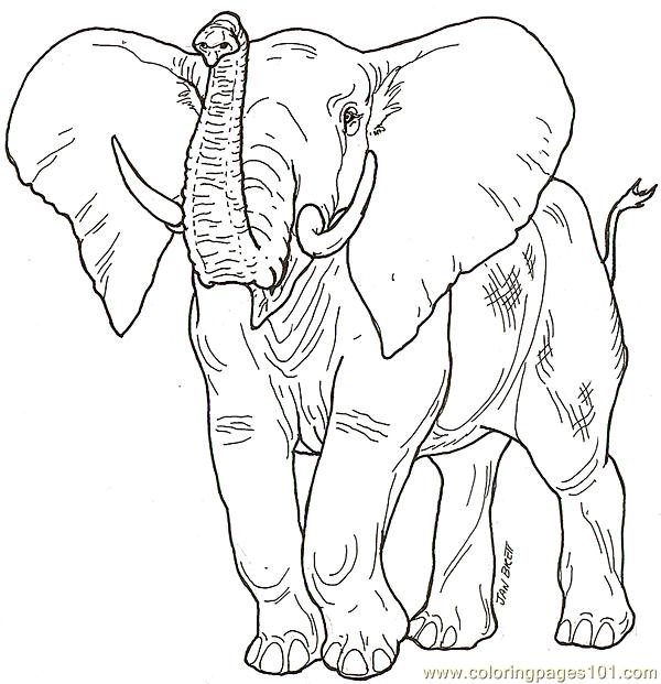 600x621 Babaelephant2 Coloring Page