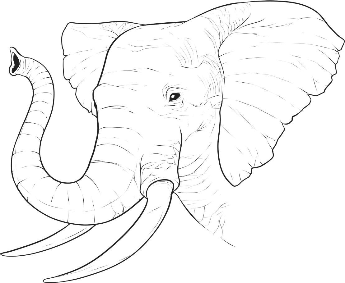 1109x911 Elephant Head Coloring Pages Cartoon Elephant Coloring Pages
