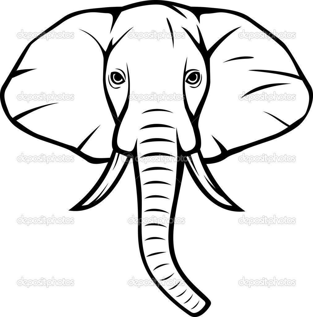 1013x1024 Pix For Gt Indian Elephant Head Drawings Clean Lines