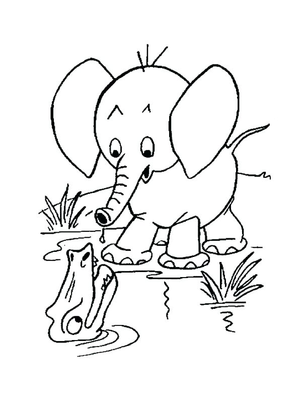 610x790 Cartoon Elephant Coloring Pages Elephant Head Coloring Page