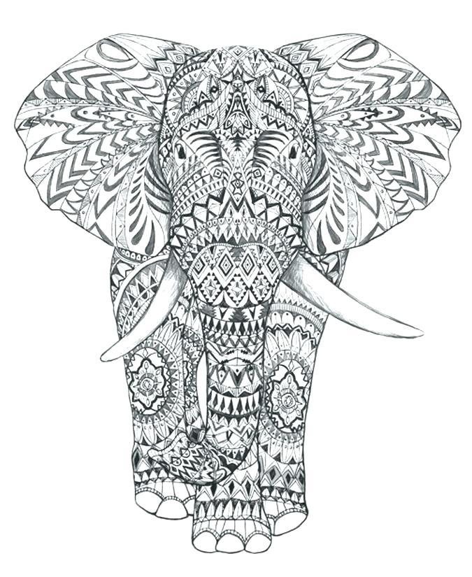 675x825 Coloring Pages Of Elephants For Adults Coloring Pages Elephant