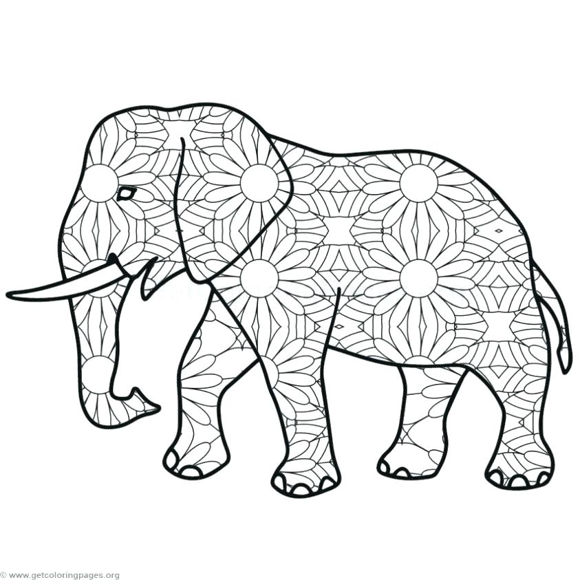 843x843 Elephant Mandala Coloring Pages Coloring Pages Elephant Elephant