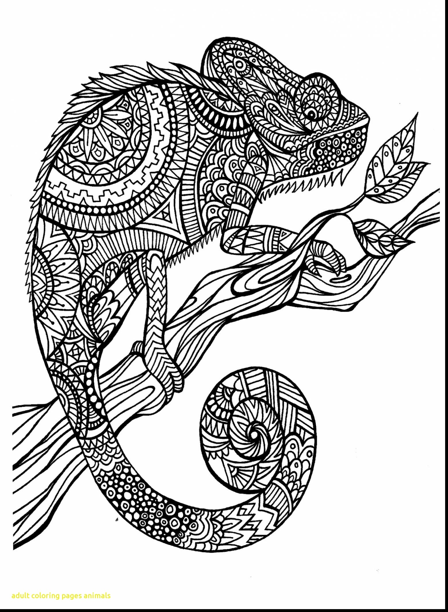 1558x2129 World Elephant Day Elephants Coloring Pages For Adults To Print