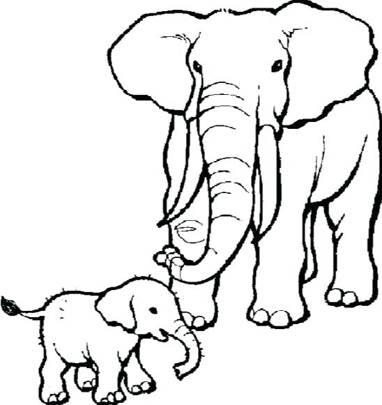 548x581 Best Y Blank Pattern Elephants Images On Coloring Printable