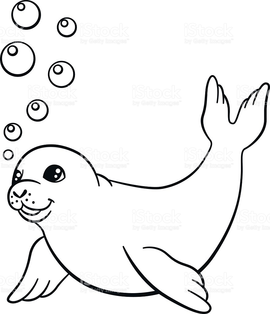 883x1024 Seal Coloring Page 14