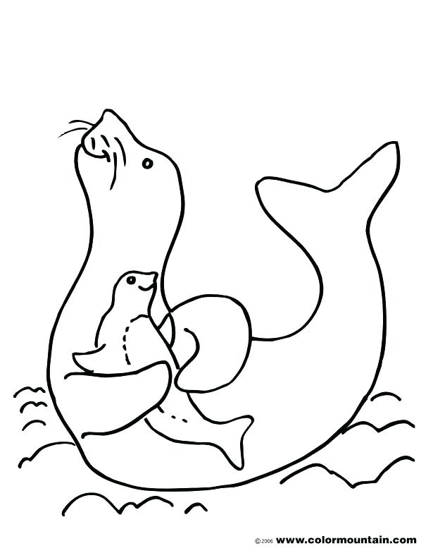615x784 Seal Coloring Page Seal Coloring Pages Download Coloring Pages