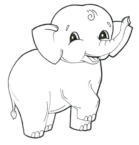 460x480 Baby Seal Coloring Pages Seal Colouring Or Coloring Page Elephant