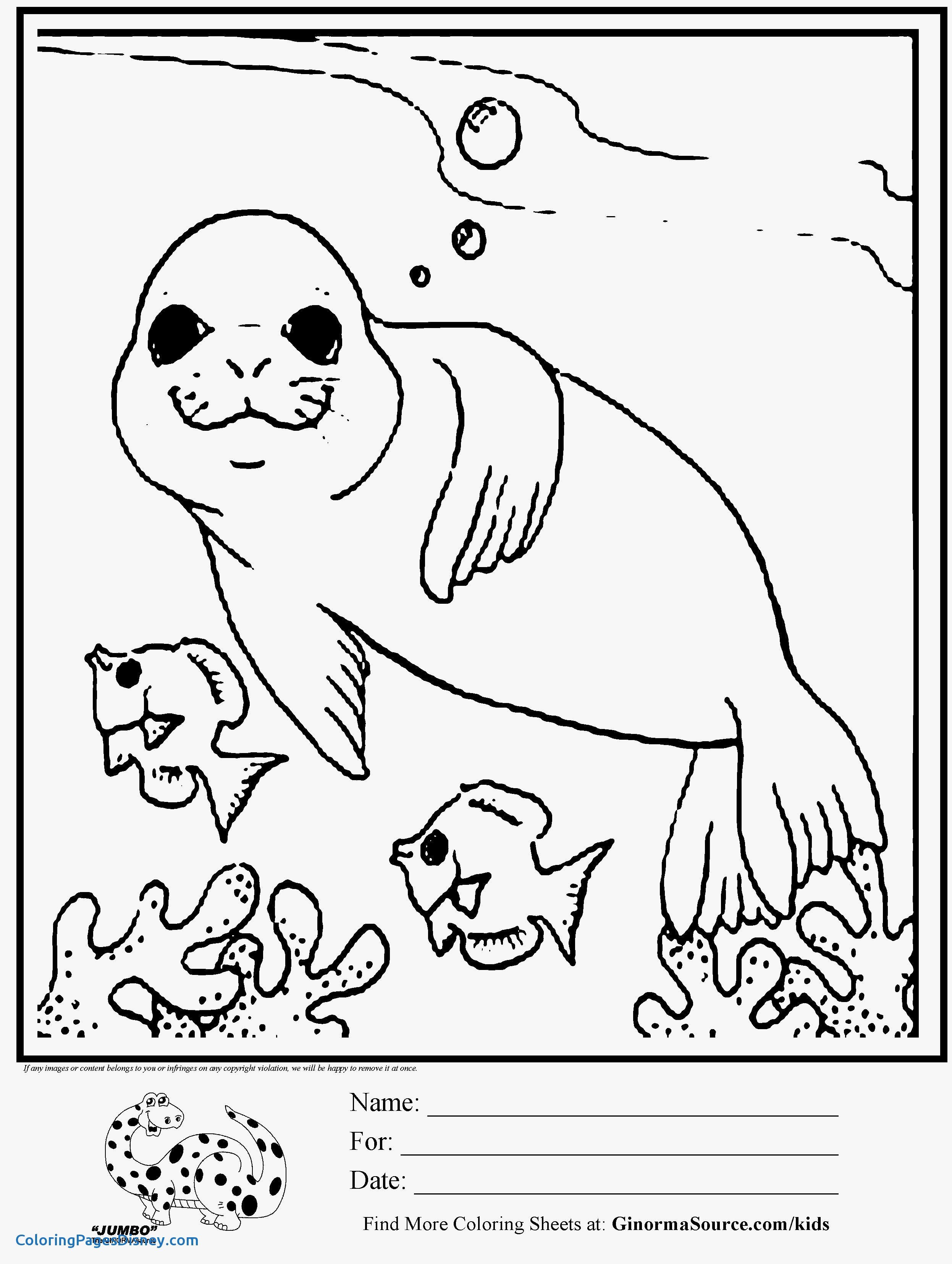 2493x3310 Seals Coloring Pages Elegant Elephant Seal On The Shore Coloring