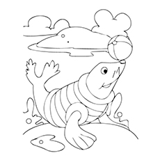 230x230 Top 10 Free Printable Seal Coloring Pages For Toddlers
