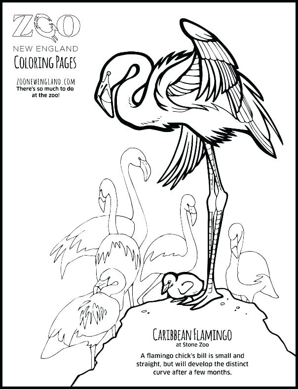 604x787 Britannic Coloring Pages Free Tree House Coloring Pages Coloring