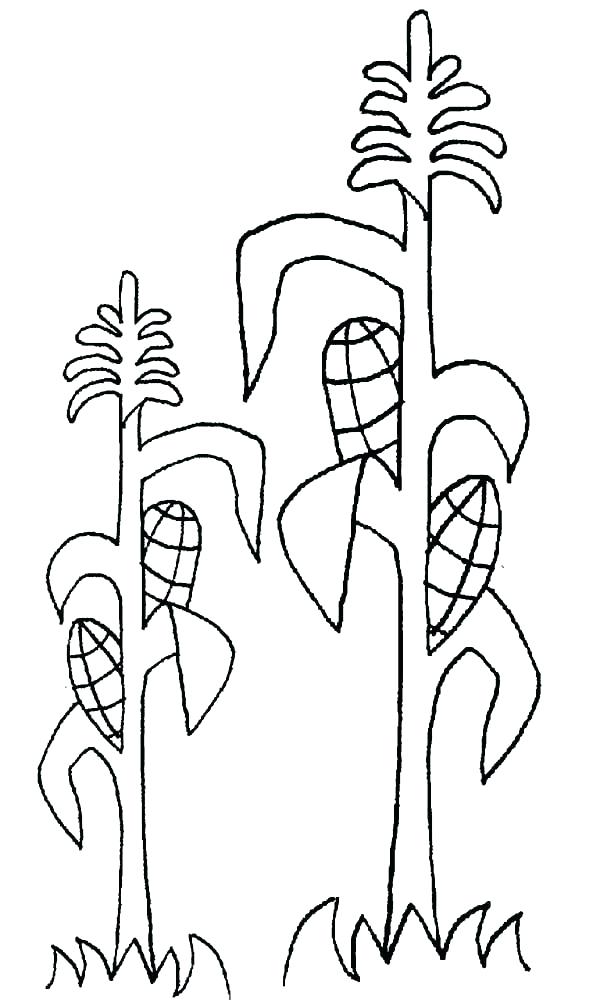 600x1000 Ear Coloring Page Footprint Ear Printable Coloring Page