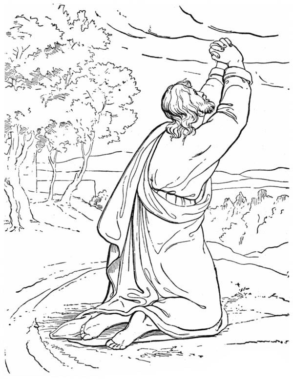 600x783 Elijah And The Prophets Of Baal Coloring Pages New 164 Best Bible