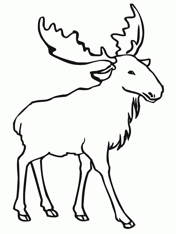 Elk Coloring Pages