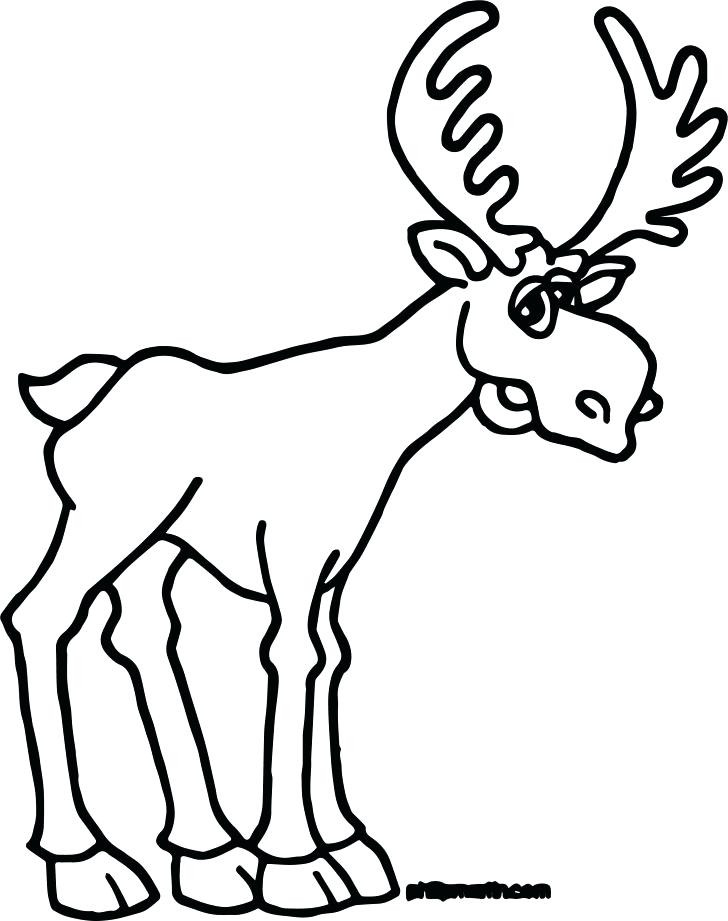 728x921 Moose Coloring Pages Printable New Moose Coloring Pages Elk